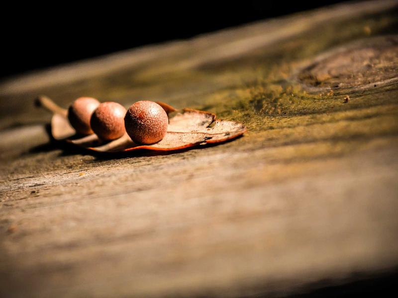 Discord社群搭建<br>服务器创建权限配置运营指南